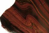 Polished Tiger Iron Stromatolite Slab - Billion Years #239611-1